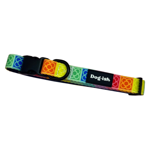 Collar Barcelona Rainbow